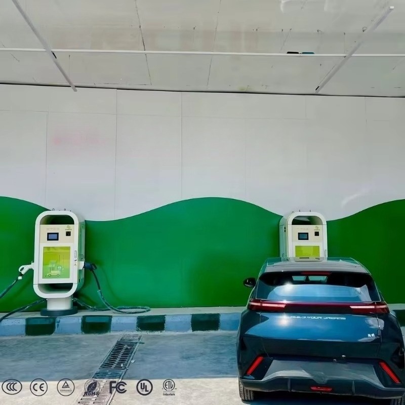 Standardowa stacja szybkiego ł – Ev Charging Pile recenzja i cena